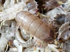 -芦潮港集贸市场