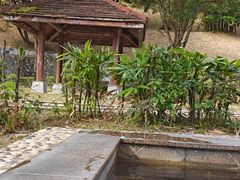 -罗浮山嘉宝田森林温泉度假酒店