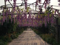 -呀路古热带植物园