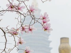 -常州天宁禅寺