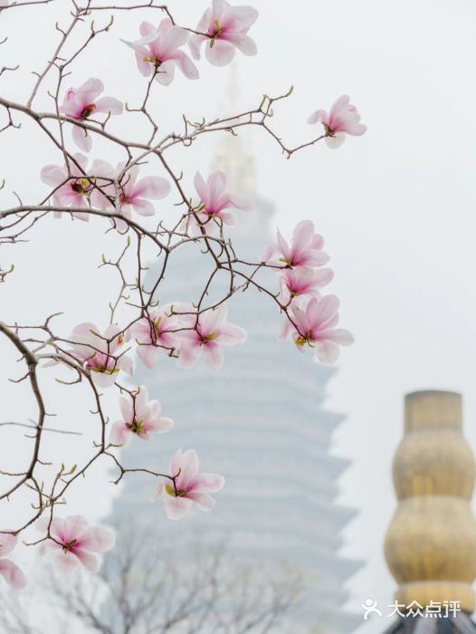 常州天宁禅寺图片
