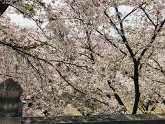 -苏州上方山国家森林公园