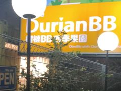 -榴莲BB 四季果园