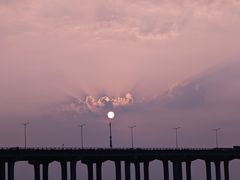 -宝安西湾红树林湿地公园