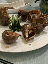 -青岛李沧绿城喜来登酒店·宴会厅