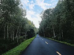 -汤旺河林海奇石景区