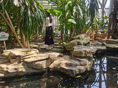 -南山植物园