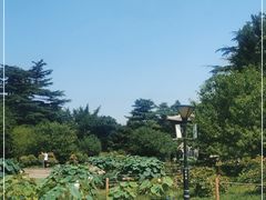 -国家植物园南园