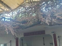 -南戴河国际娱乐中心