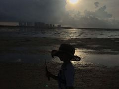 -北海金海湾红树林生态旅游区