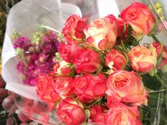 -桂林市花鸟市场