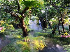 -Chom Cafe and Restaurant