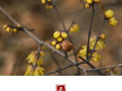 -山东师范大学(千佛山校区)