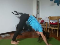 -梵未理疗瑜伽工作室