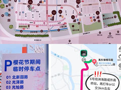 -高东镇樱花园