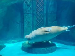 -波塞冬旅游度假区