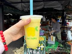 -西双版纳傣族园