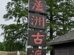 -东湖落雁景区