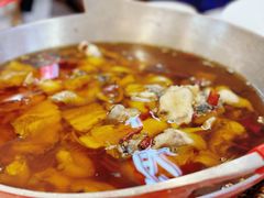 -蜀阳餐厅·金牌水煮鱼