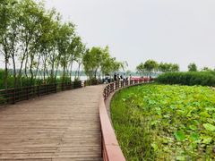 -绿堤公园