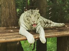 -西安秦岭野生动物园