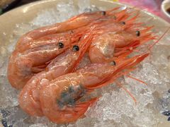 -黑松白鹿(金融街店)