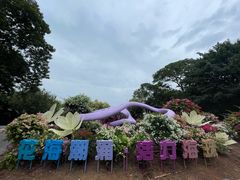 -海珠湖公园
