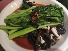 -新白鹿餐厅(悠迈生活广场店)