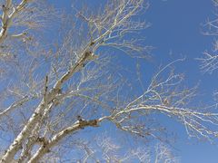 -敦煌莫高窟数字展示中心