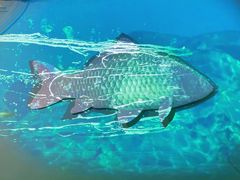 -中国湿地博物馆