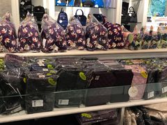 -naraya(玛雅百货店)