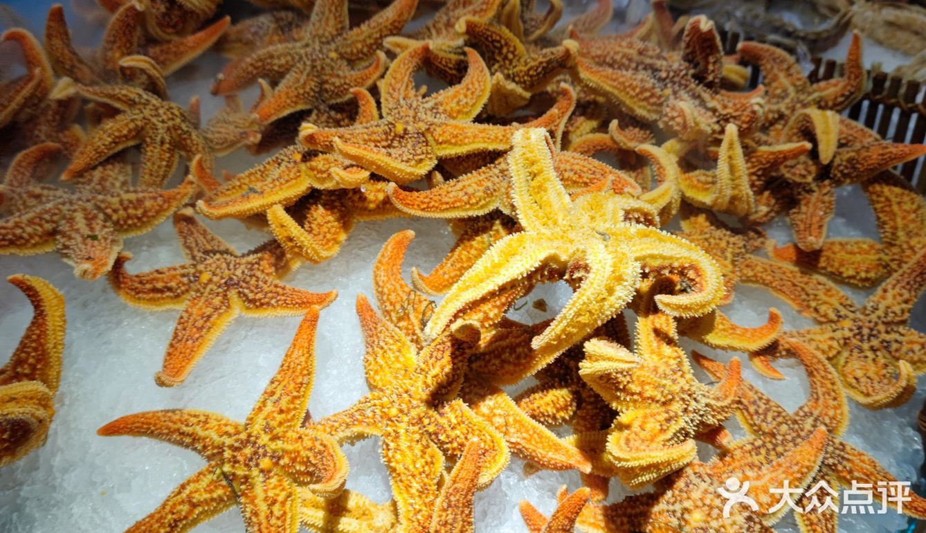 郑州美食/人均70的海鲜自助/星海汇