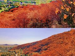 -沉浸北京·团建旅行·密室剧本杀·年会会议轰趴拓展