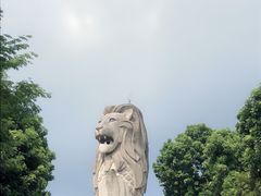 -圣淘沙天际线斜坡滑车