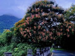 -杭州灵山景区