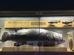 -青岛海底世界-水族馆