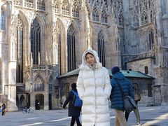 -斯蒂芬主教座堂(Stephansdom)