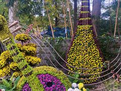-杭州植物园