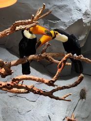 -Zoolung Zoolung动物主题公园(海信广场店)