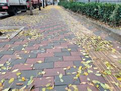 -亲兄弟真人CS团建拓展基地