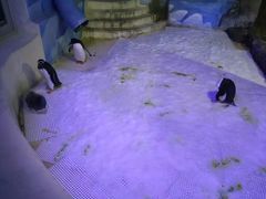 -成都浩海立方海洋公园