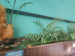 -景笙毋米粥底火锅(20年老字号)