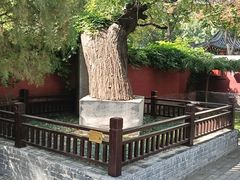 -天宁寺