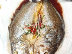 -万柳阁小馆·花园餐厅(龙潭湖店)