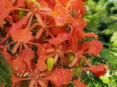 -大嶝英雄三岛战地观光园