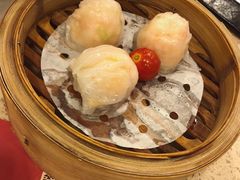 金牌虾饺皇-点都德(北京路贰店)