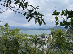 -千岛湖天屿景区