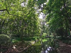 -上海共青森林公园