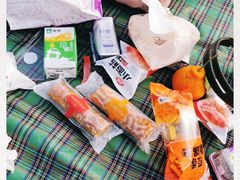 -铁山坪森林公园