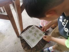 -宁波九龙湖开元度假村